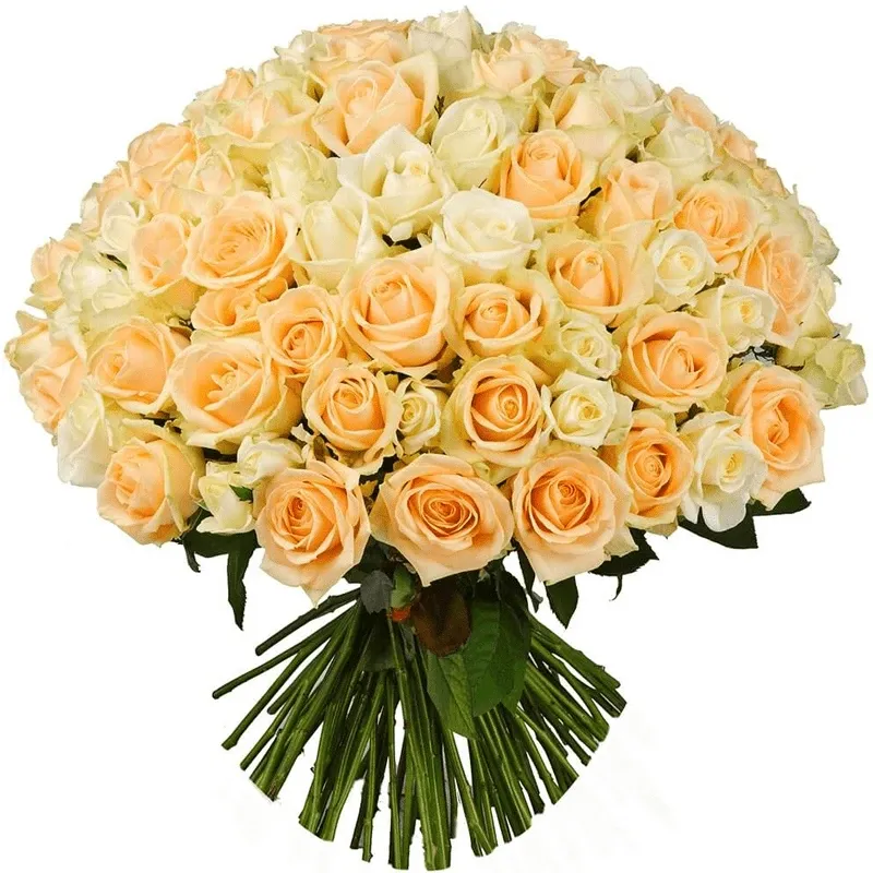 Розы Россия кремовые